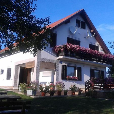 Guest House Adrijana Seliste Dreznicko Exteriör bild