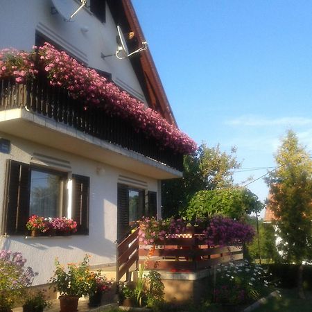 Guest House Adrijana Seliste Dreznicko Exteriör bild