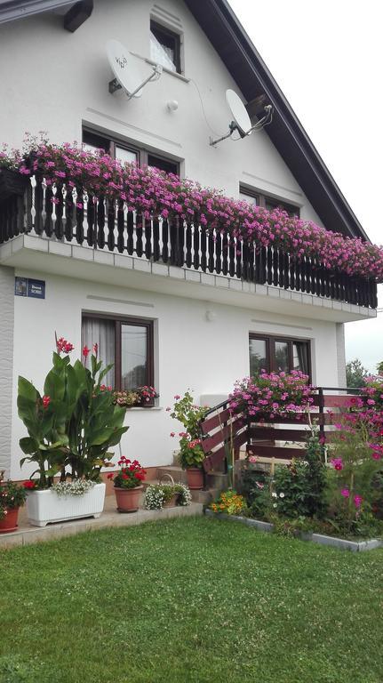 Guest House Adrijana Seliste Dreznicko Exteriör bild