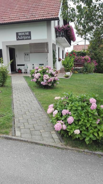 Guest House Adrijana Seliste Dreznicko Exteriör bild