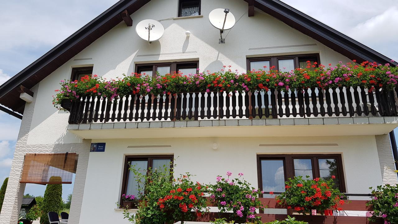 Guest House Adrijana Seliste Dreznicko Exteriör bild